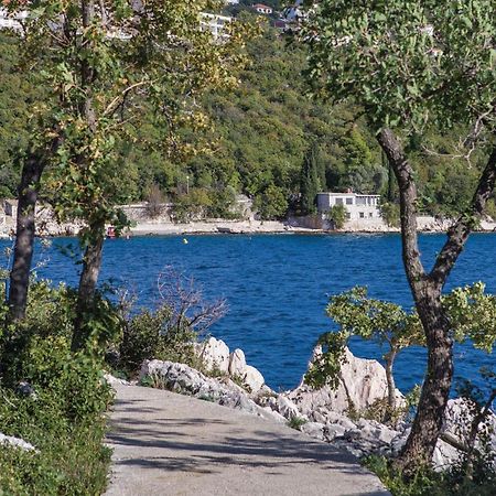 Gorgeous Apartment In Crikvenica With Kitchen エクステリア 写真